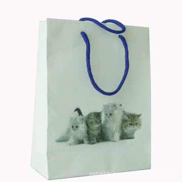 Paper Bag - Paper Shopping Bag Sw158